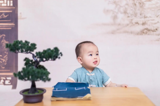 项城八个月宝宝零食 项城八个月宝宝零食